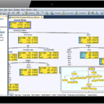 Angoss Decision Trees