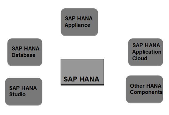 What is SAP HANA ?