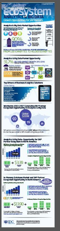 SAP Partners to Earn US$220 Billion Through 2017