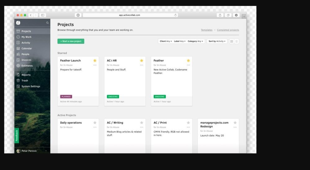 Activecollab Gantt Chart