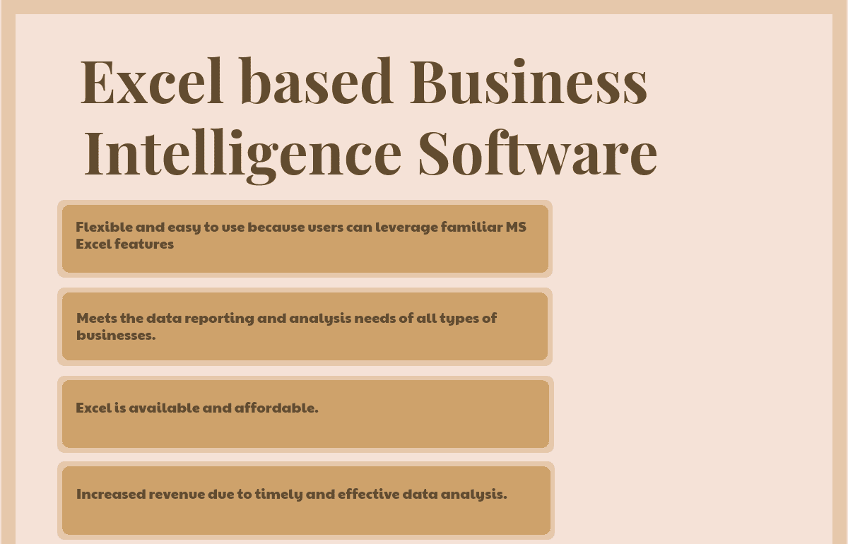 Excel based Business Intelligence Software