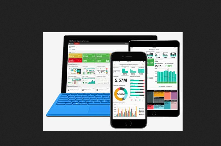 SQL Server Reporting Services in 2024 - Reviews, Features, Pricing ...