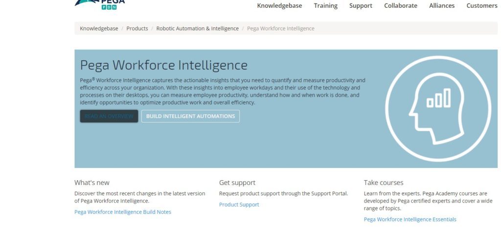 pega process mining