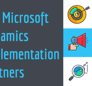 Microsoft dynamics implementation team cost