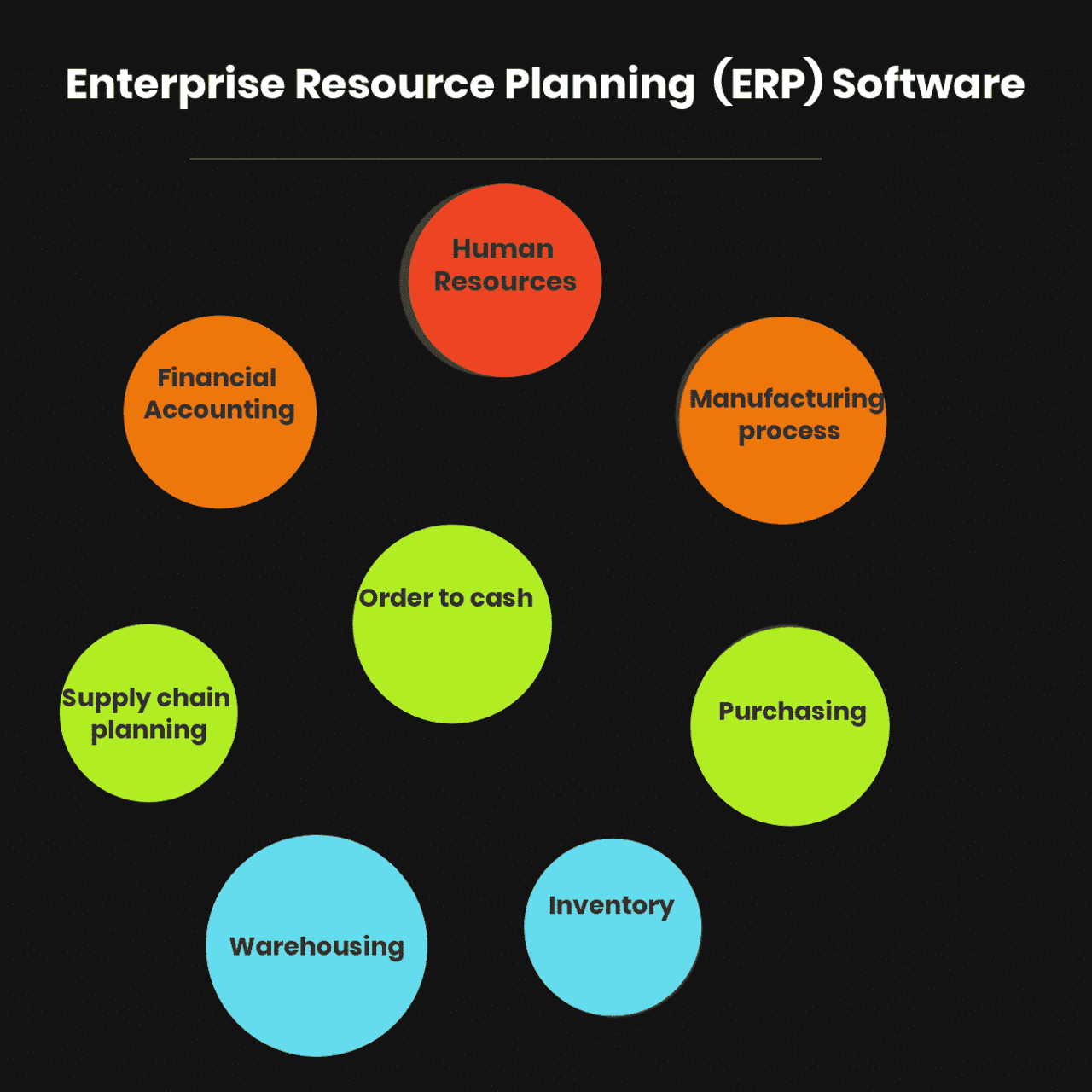 Enterprise Resource Planning (ERP) Software