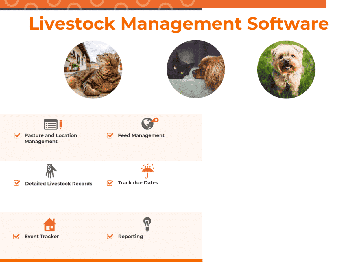 Top 8 Livestock Management Software in 2022 Reviews, Features