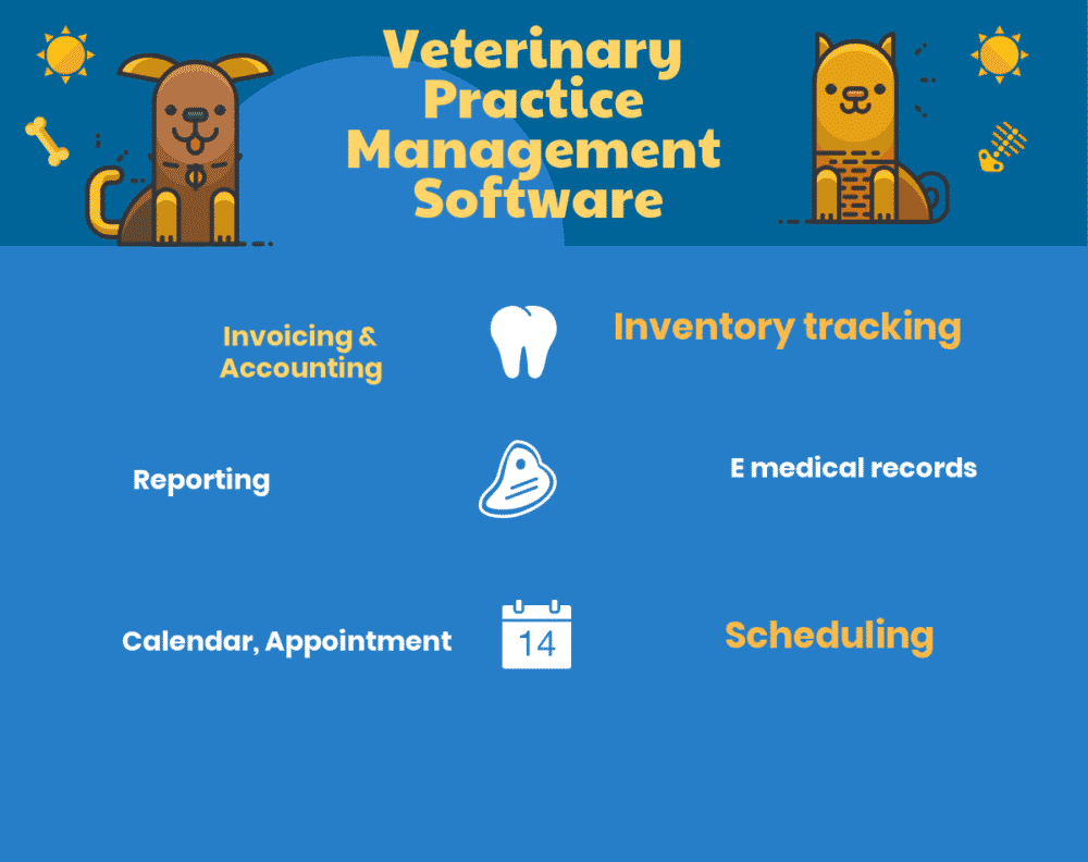 Veterinary Conversion Chart