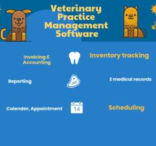 Top 7 Veterinary Practice Management Software Top Veterinary Practice Management Software
