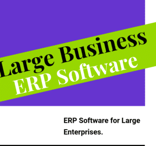 ERP Software for Large Enterprises