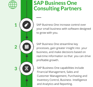 Top 19 SAP Business One Consulting Partners Top 19 SAP Business One Consulting Partners