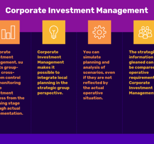 What is Corporate Investment Management, Key issues and Benefits