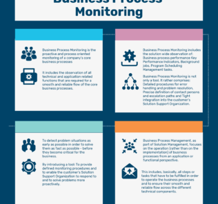 What is Business Process Monitoring